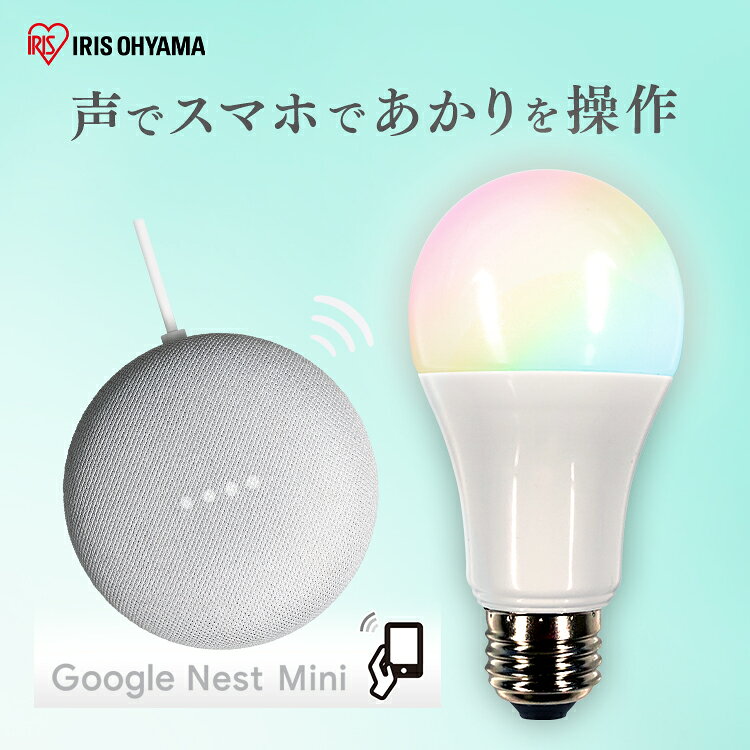Google Nest Mini