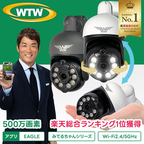 WTW みてるちゃん 500万